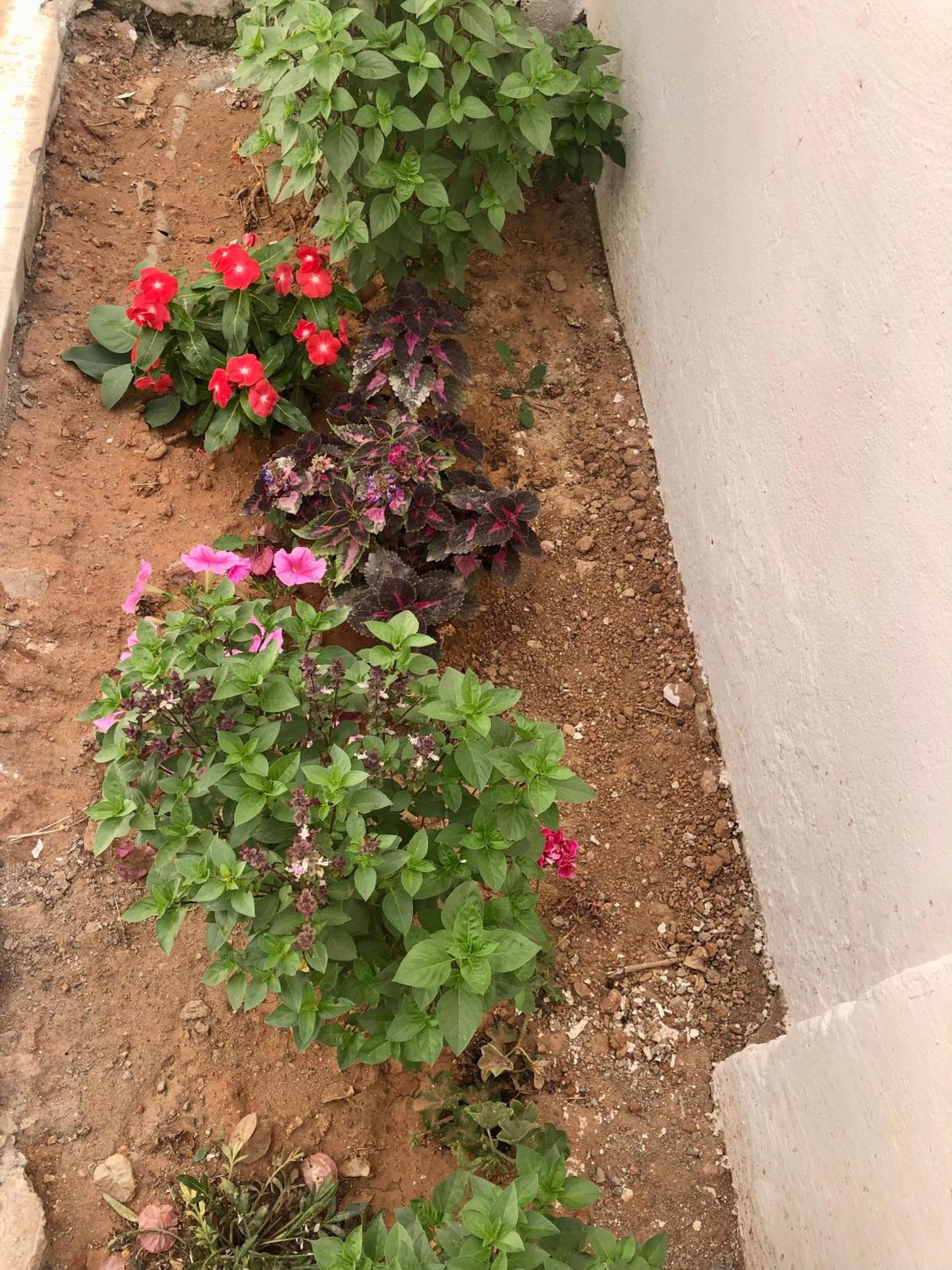 Appartement A 10 Min De La Plage, Du Centre Et Du Palais - Wifi Debit Et Parking Gratuit Agadir
